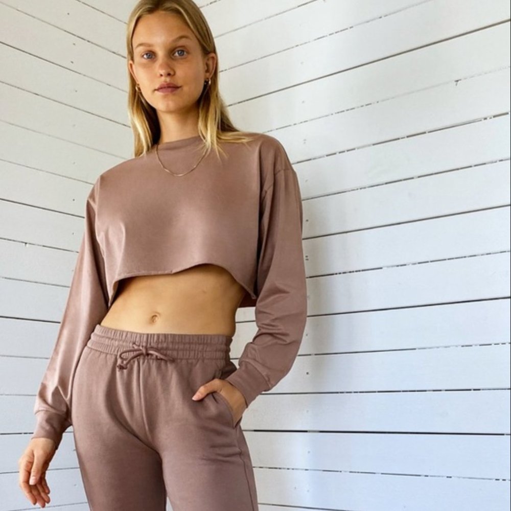 Aritzia longsleeve crop